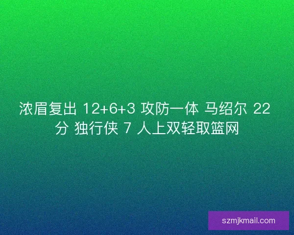 浓眉复出 12+6+3 攻防一体 马绍尔 22 分 独行侠 7 人上双轻取篮网