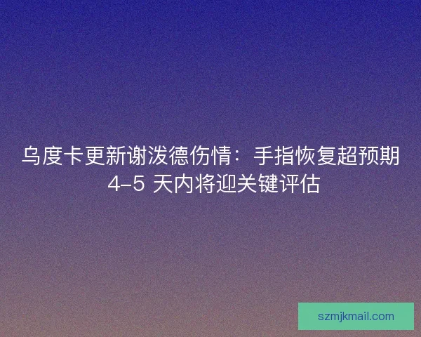 乌度卡更新谢泼德伤情：手指恢复超预期 4-5 天内将迎关键评估