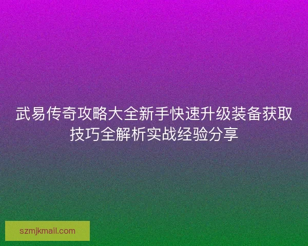 武易传奇攻略大全新手快速升级装备获取技巧全解析实战经验分享
