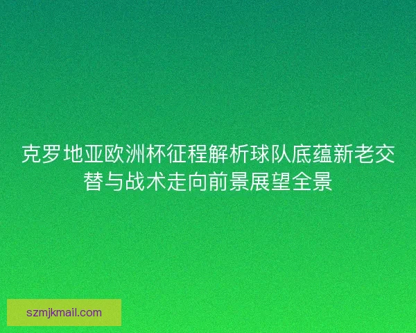 克罗地亚欧洲杯征程解析球队底蕴新老交替与战术走向前景展望全景